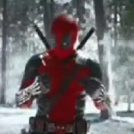 Deadpool × Wolverine  
