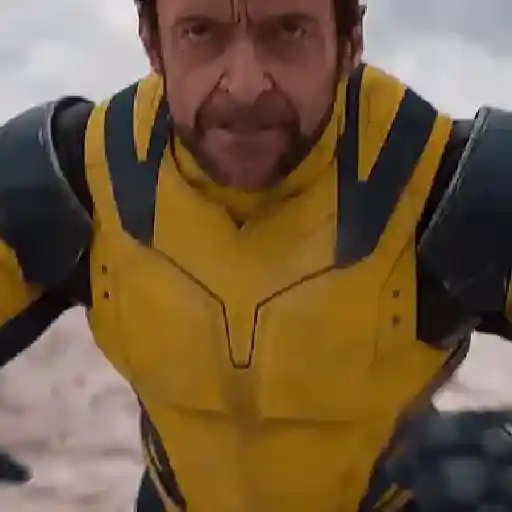 Deadpool × Wolverine  
