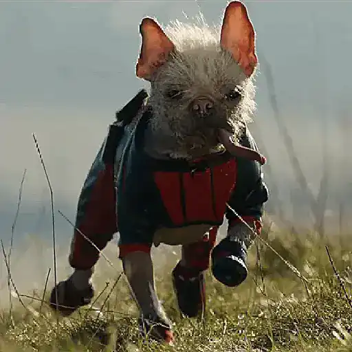 Deadpool × Wolverine  
