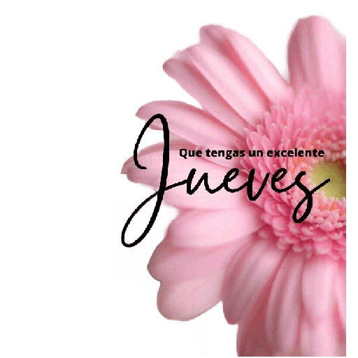 Martes a Viernes 🗓️² 
 preview