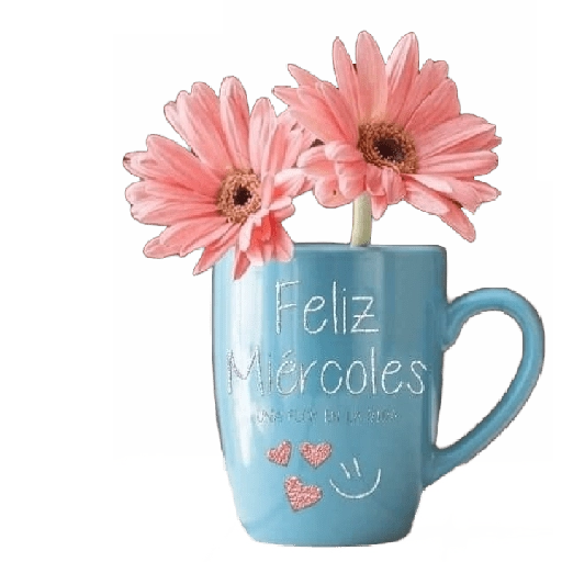 Martes a Viernes 🗓️² 
