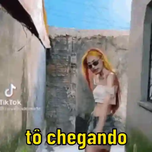 RUIVINHA DE MARTE 
 preview