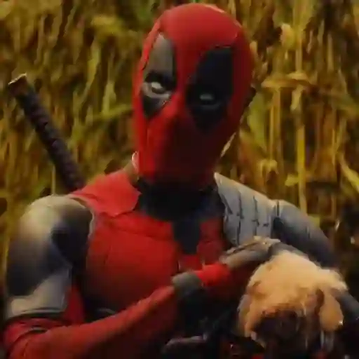 🐕Dogpool ⚔Deadpool⚔Wolverine 
