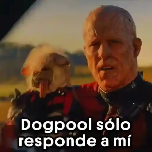 🐕Dogpool ⚔Deadpool⚔Wolverine 
