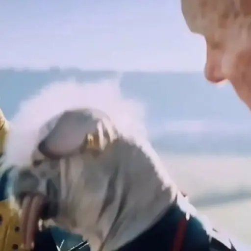 🐕Dogpool ⚔Deadpool⚔Wolverine 
