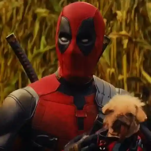🐕Dogpool ⚔Deadpool⚔Wolverine 
