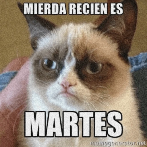 🤣¡Martes!😭 
