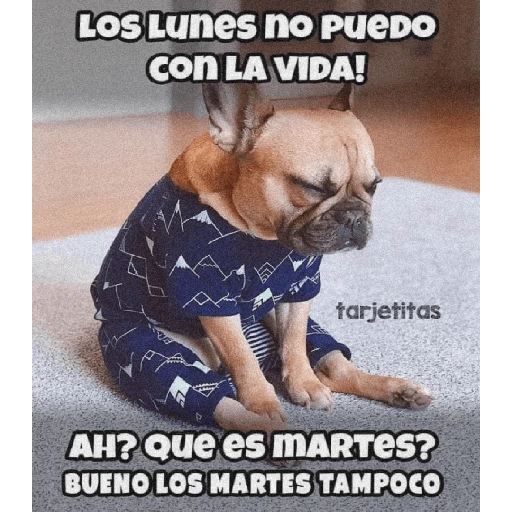 🤣¡Martes!😭 
