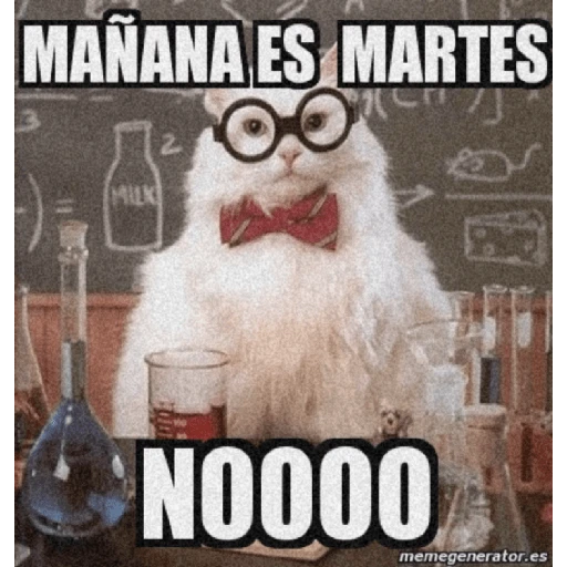 🤣¡Martes!😭 
