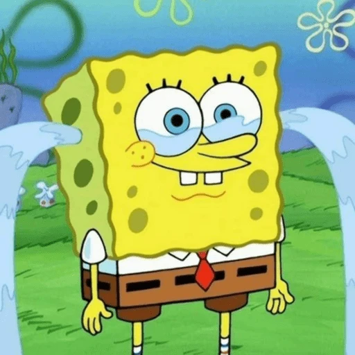 ❣️Bob esponja randoms❣️ 
