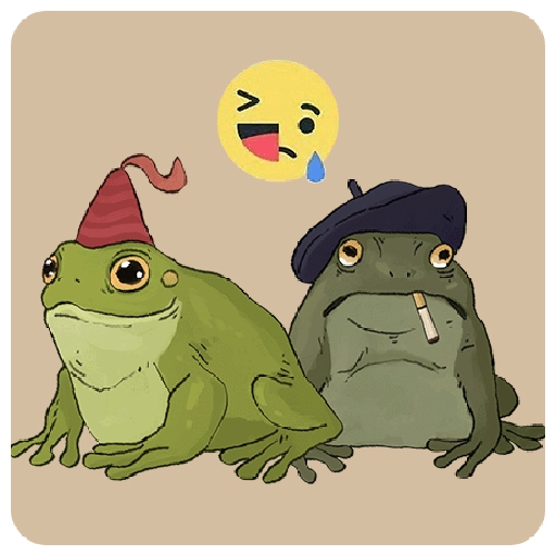 Mapaches y Ranitas 
