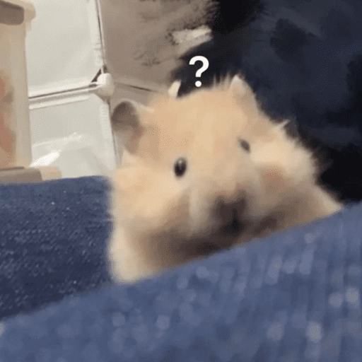🐹Ratitas cutes🐹 
