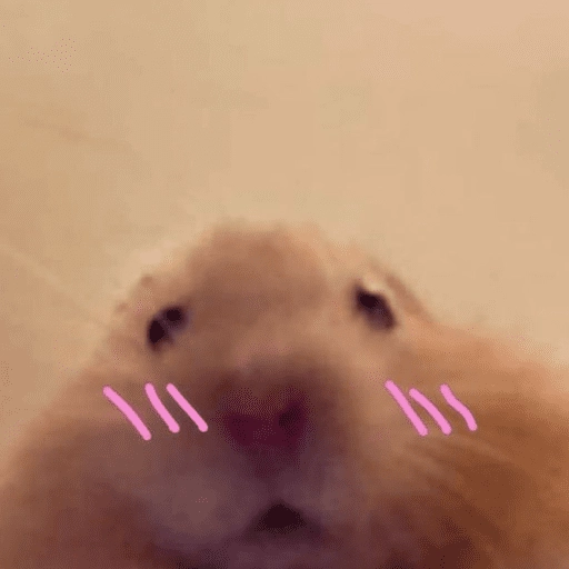 🐹Ratitas cutes🐹 
