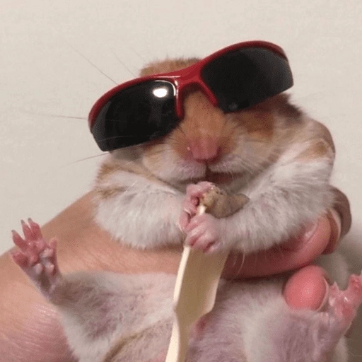 🐹Ratitas cutes🐹 
