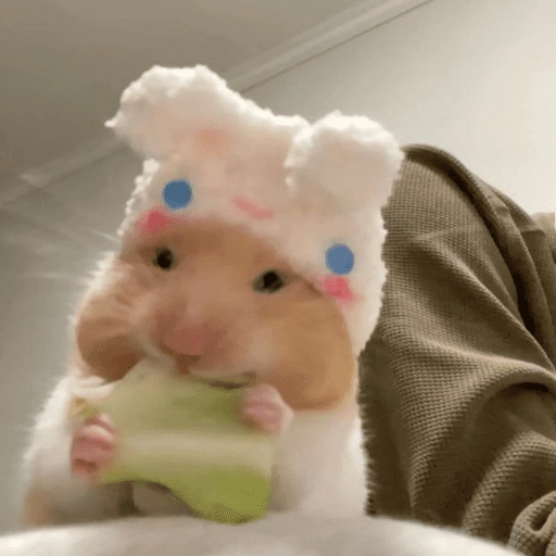 🐹Ratitas cutes🐹 
