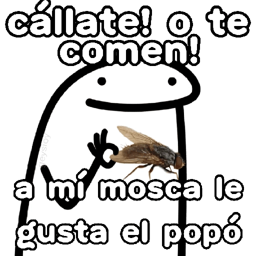 ✨Flork Malo 😈 grosero 🫥 
 preview