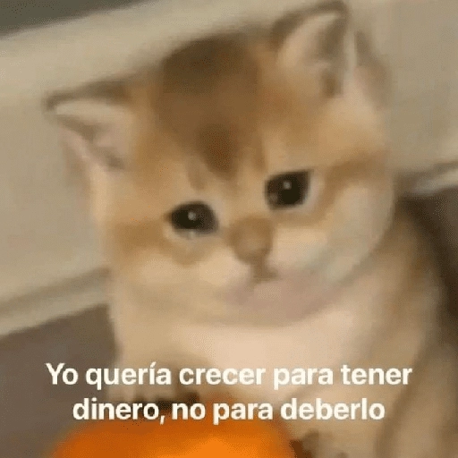 Que el dinero nunca falte💰✨ 

