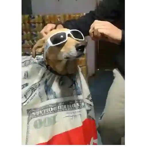 😎Barbería - Tiktok Viral😎 
