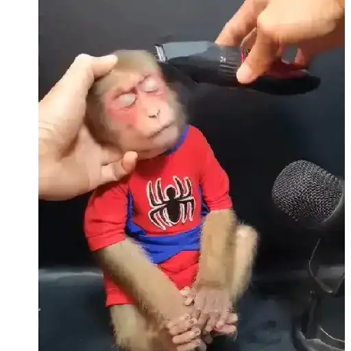 😎Barbería - Tiktok Viral😎 
