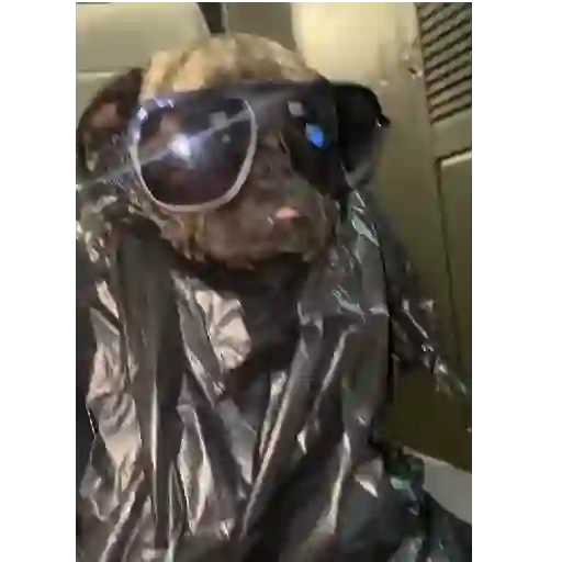 😎Barbería - Tiktok Viral😎 
