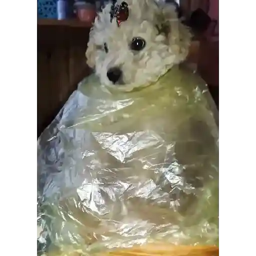 😎Barbería - Tiktok Viral😎 
