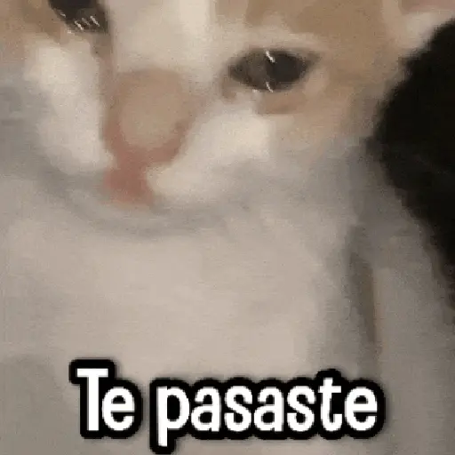 Randoms pa' Enviar 📽️ #➊ 
