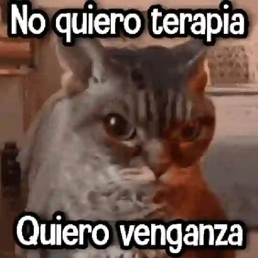 Randoms pa' Enviar 📽️ #➊ 
