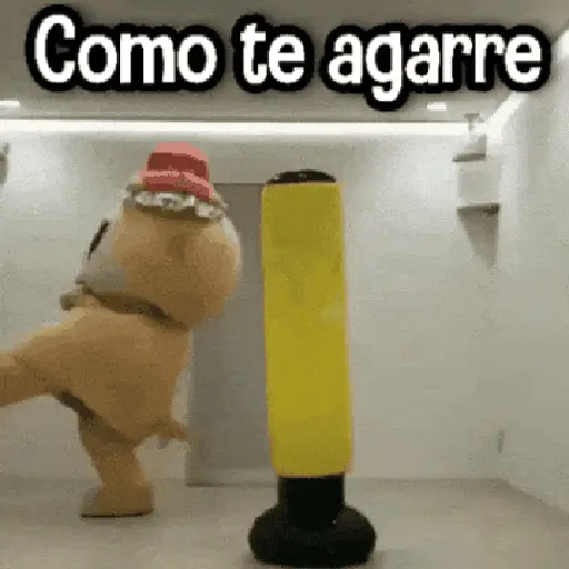Randoms pa' Enviar 📽️ #➊ 
