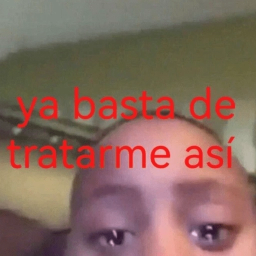 Stickers de memesitos😌😂 
