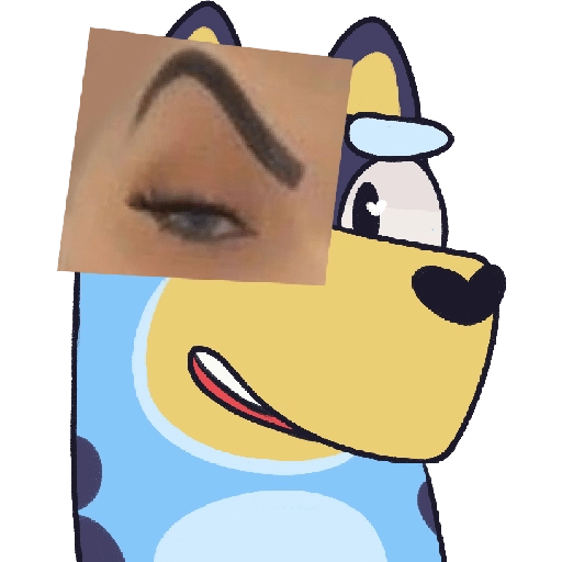 bluey memes 
