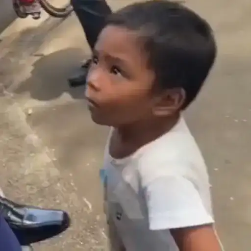 🎵 TIKTOKeando 26🎵 
