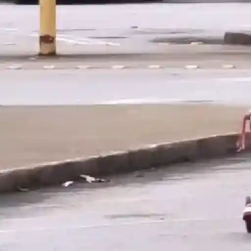 🎵 TIKTOKeando 26🎵 
