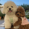 🐶 TÚ Y YO VERSIÓN PERRITOS 🐾 
