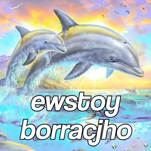 Delfín frase  
