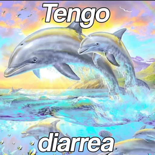 Delfín frase  
