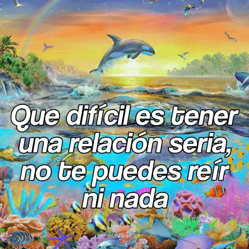 Delfín frase  
