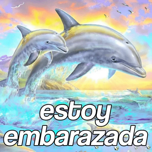 Delfín frase  
