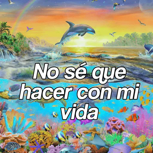 Delfín frase  
