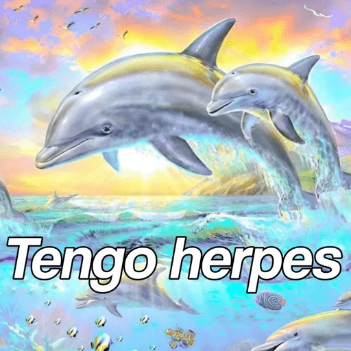 Delfín frase  
