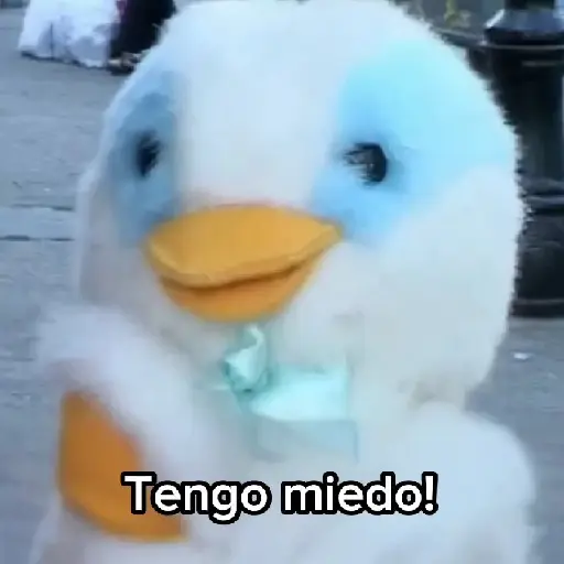 31 minutos ✨🧦 
