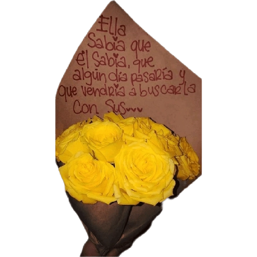 Flores Amarillas🌻ramos 
 preview