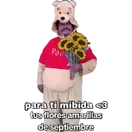 Flores Amarillas🌻ramos 
