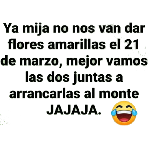 Flores Amarillas🌻ramos 
