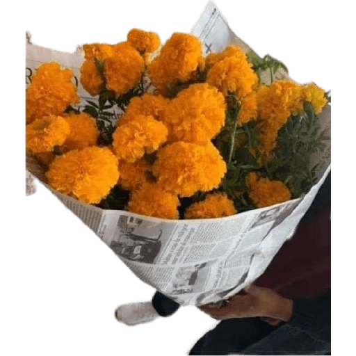 Flores Amarillas🌻ramos 
