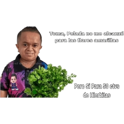 Flores Amarillas🌻ramos 
