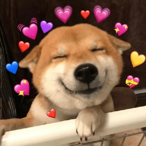 Explosión de amor 6💘💕💓💗💖💝 

