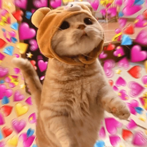 Explosión de amor 6💘💕💓💗💖💝 
