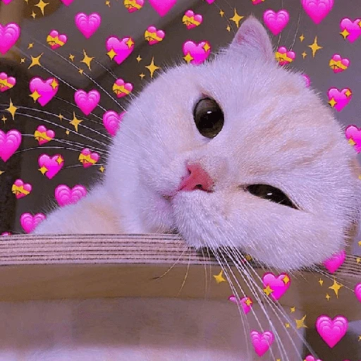 Explosión de amor 6💘💕💓💗💖💝 
