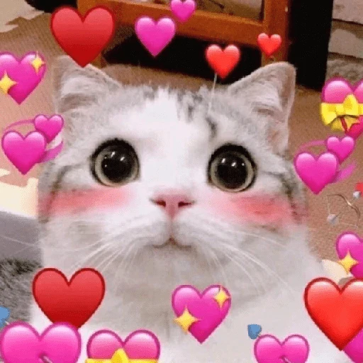 Explosión de amor 6💘💕💓💗💖💝 
