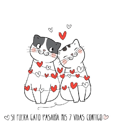 feliz san valentin❤ 
